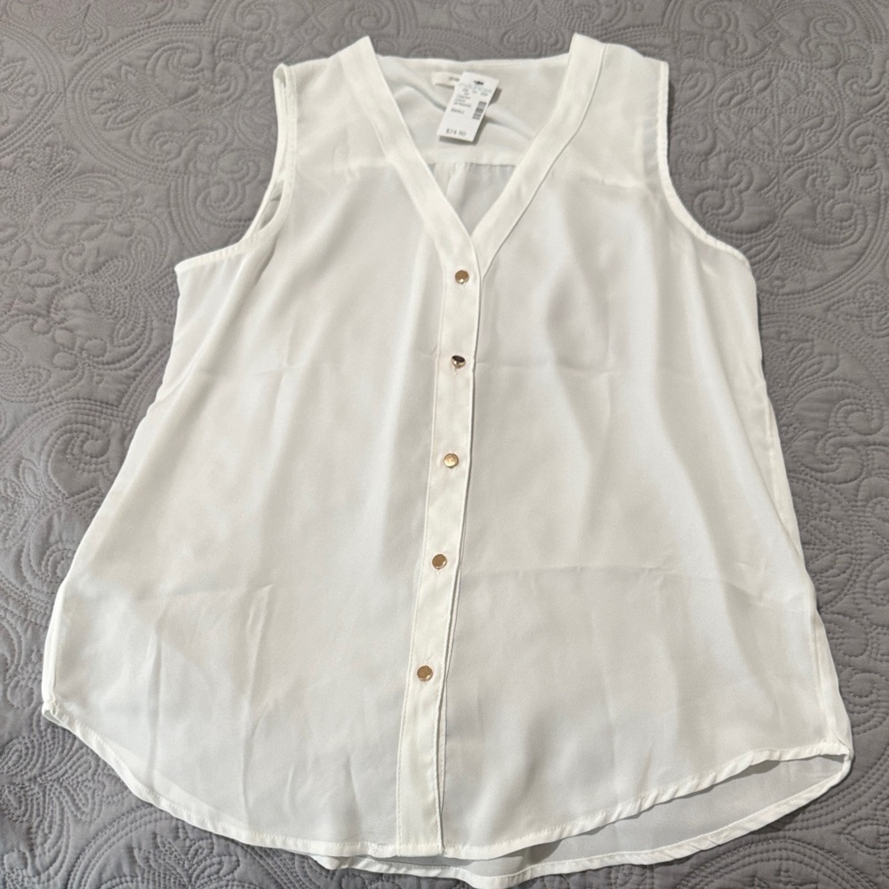 Elegant White Sheer Sleeveless Blouse